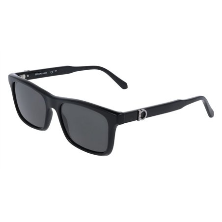 Salvatore Ferragamo SF2060SE 001