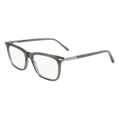 Salvatore Ferragamo SF3007 317