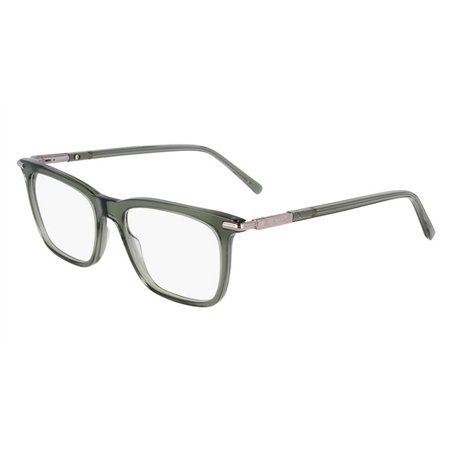 Salvatore Ferragamo SF3007 317