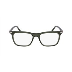 Salvatore Ferragamo SF3007 317 2
