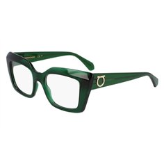 Salvatore Ferragamo SF3008 317