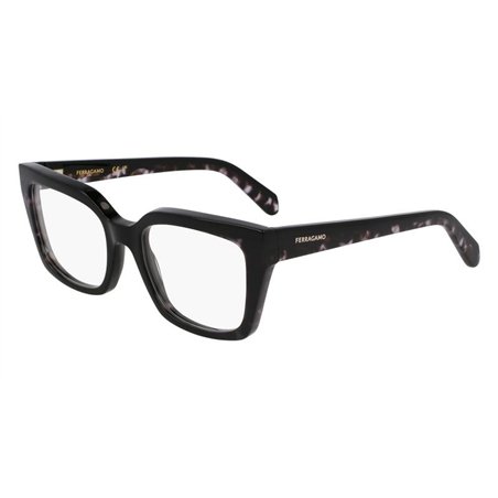 Salvatore Ferragamo SF3010 004