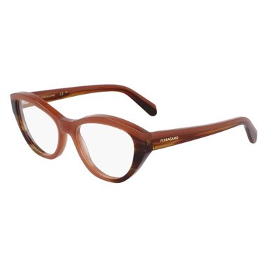Salvatore Ferragamo SF3011 254