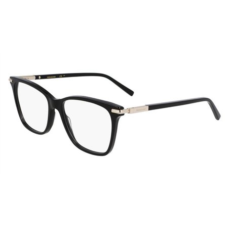 Salvatore Ferragamo SF3013 001