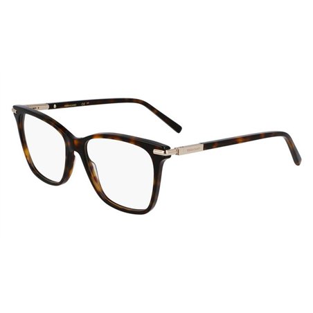 Salvatore Ferragamo SF3013 242