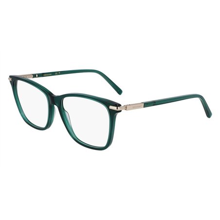 Salvatore Ferragamo SF3013 317