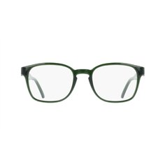 Salvatore Ferragamo SF3027E 317
