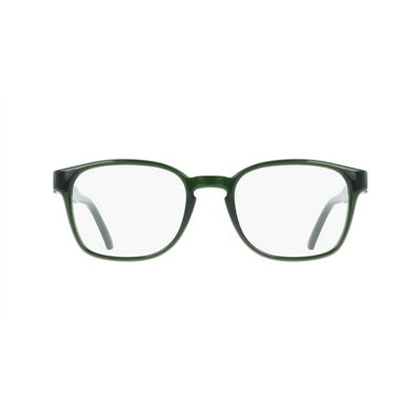 Salvatore Ferragamo SF3027E 317