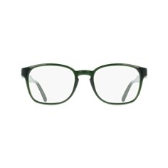 Salvatore Ferragamo SF3027E 317 2
