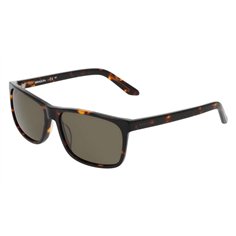 Dragon DR BIRDIE LL 240