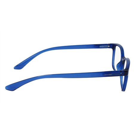 Calvin Klein CK23525N 410
