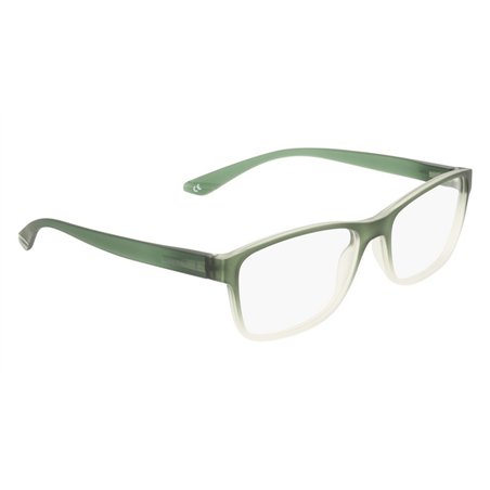 Calvin Klein CK23526N 300