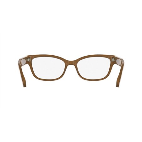 Calvin Klein CK25541 272