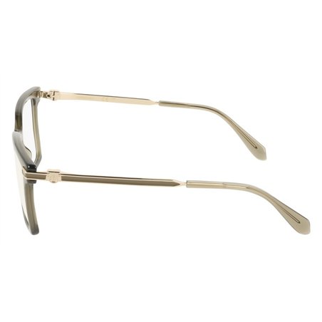 Salvatore Ferragamo SF3039 320