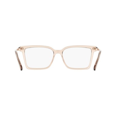 Salvatore Ferragamo SF3039 667