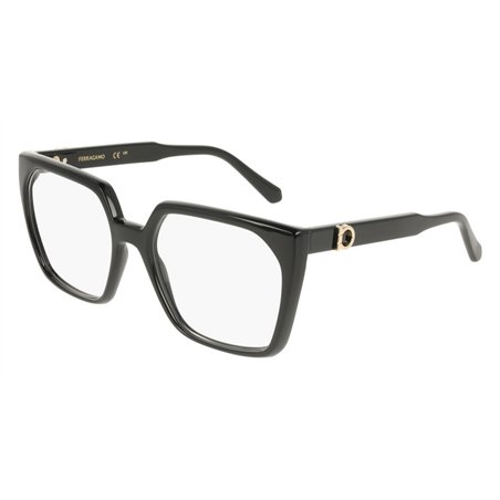 Salvatore Ferragamo SF3042E 001