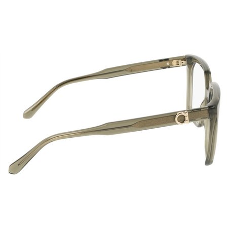 Salvatore Ferragamo SF3042E 320