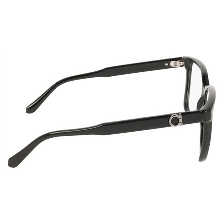 Salvatore Ferragamo SF3043E 001