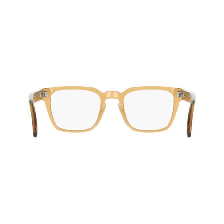 Salvatore Ferragamo SF3044 261