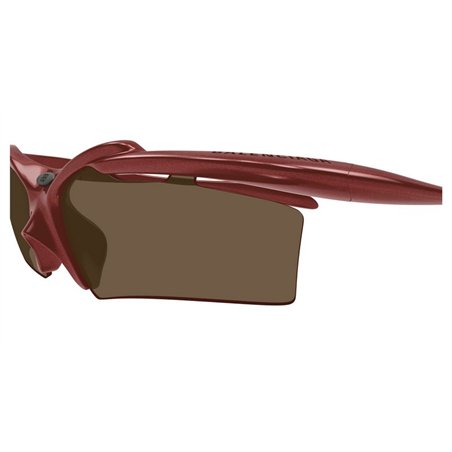 Balenciaga BB0420S 003