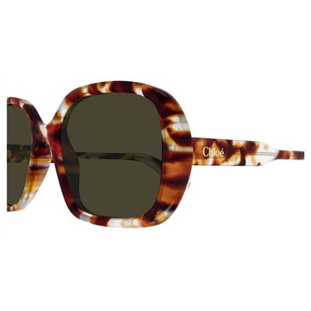 Chloé CH0222S 007